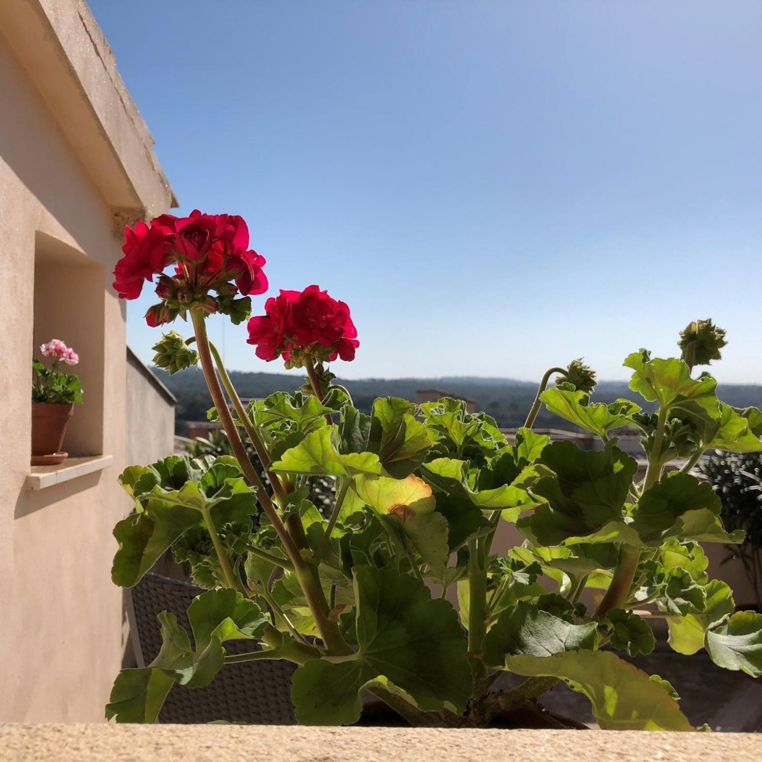 Vista De La Vila - Turismo De Interior. Llubí Chambre photo